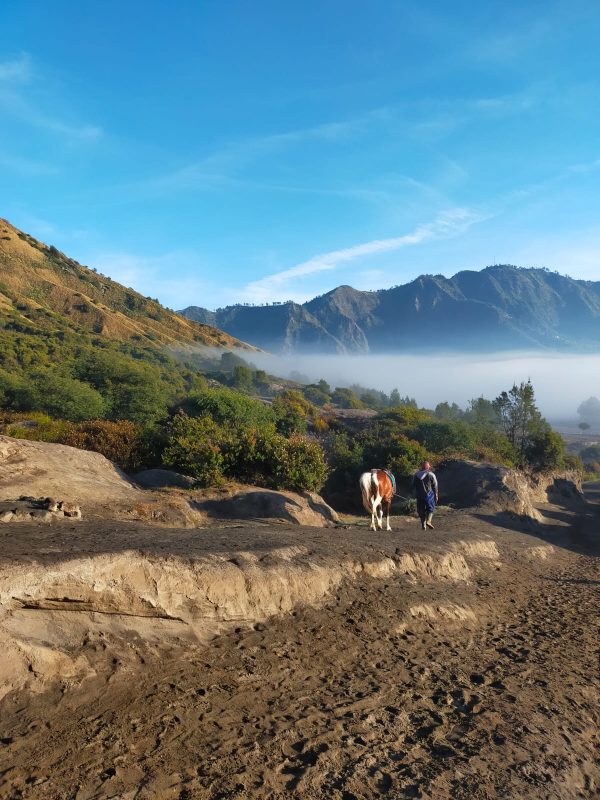 PRIVATE TRIP BROMO TUMPAK SEWU 1 Malam/2 Hari - Image 6