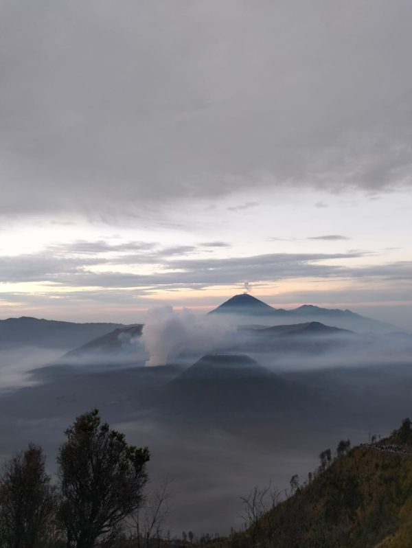 PRIVATE TRIP BROMO TUMPAK SEWU 1 Malam/2 Hari - Image 5