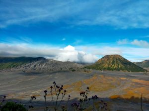 PRIVATE BROMO TRIP 1 Malam/2 Hari