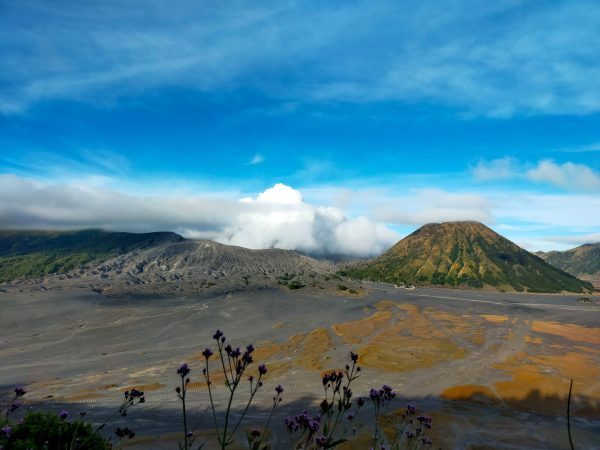 PRIVATE BROMO TRIP 1 Malam/2 Hari