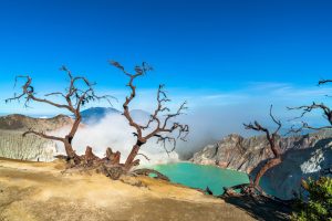 Transportasi Banyuwangi ke Kawah Ijen